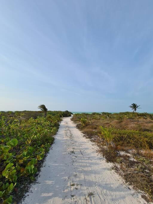 Casa Perla Marina, Pequena Casa Frente A La Playa. Apartman El Cuyo Kültér fotó
