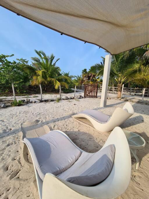 Casa Perla Marina, Pequena Casa Frente A La Playa. Apartman El Cuyo Kültér fotó